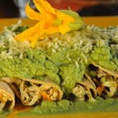 Receta para preparar Enchiladas de Pollo con flor de calabaza